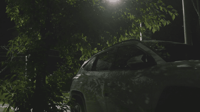 밤에 나무 아래 주차된 차