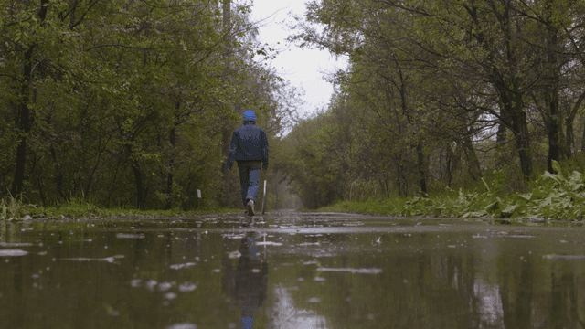 Person rolling hoop on rainy forest path