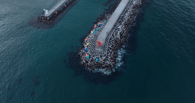 다채로운 테트라포드가 있는 방파제