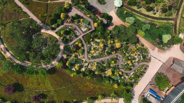 Green garden with winding walkway