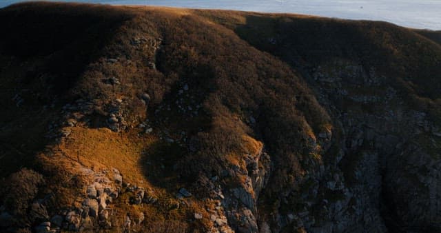 평화로운 해안 언덕과 바다 풍경