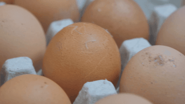 Fresh brown eggs in rough egg tray