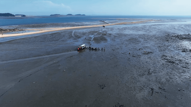 넓은 갯벌을 탐험하는 사람들