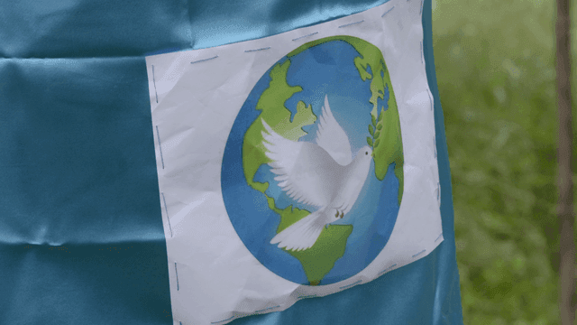 Picture of pigeon holding olive branch on Earth