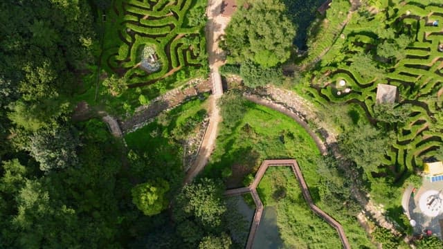 Aerial view of a lush green maze garden