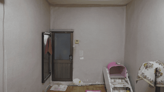 애완동물 용품이 있는 간단한 가정집 방