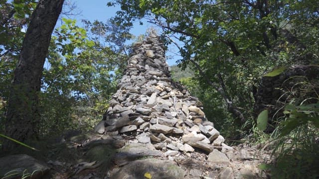 Stone tower in the midst of a lush green forest