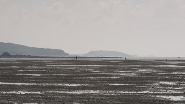 멀리 희미하게 사람이 보이는 간조 때의 갯벌 풍경