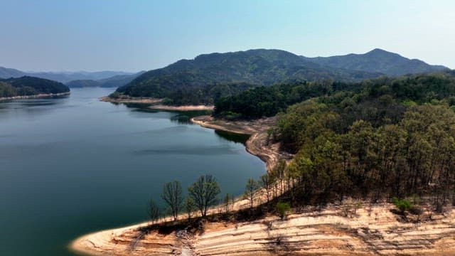 Tranquil lake surrounded by lush forests