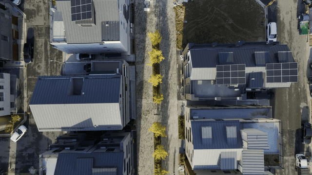 Modern residential area with tree and solar panels