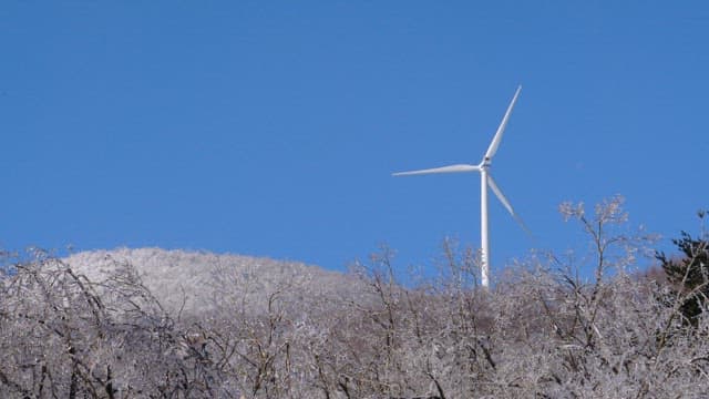 Wind turbine standing tall amidst frosty trees