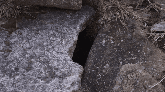 Rock crevices with dry grass