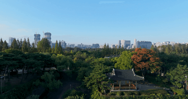 무성한 숲 넘어 보이는 도시 전경