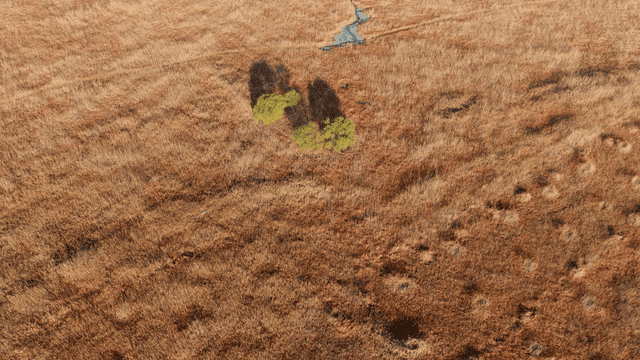 드문드문 나무가 있는 광활한 습지