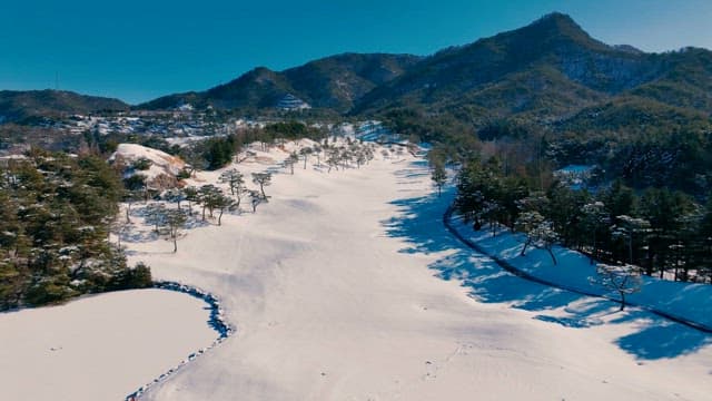 Snowy Mountain Landscape with Pine Trees