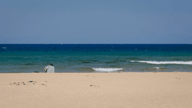 바닷가 모래사장에 앉아 있는 사람