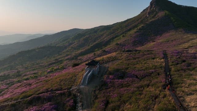 Historical Fortress on Hills with Pink Azaleas in Full Bloom