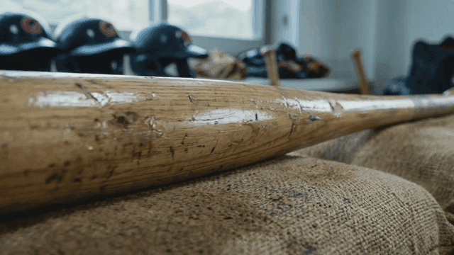 Baseball bat placed on sack
