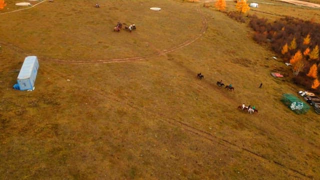 People riding horses on a vast field