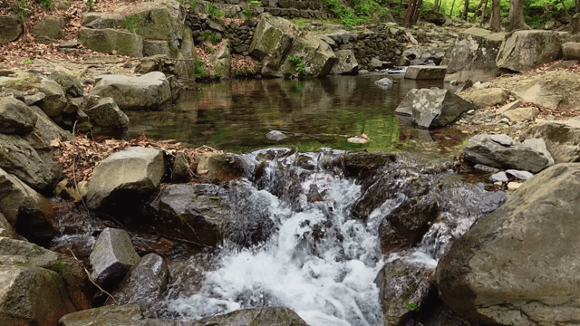 Flowing water over rocks in a stream