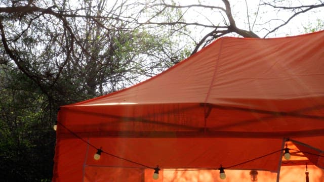 Orange tent top in a forest with sunlight