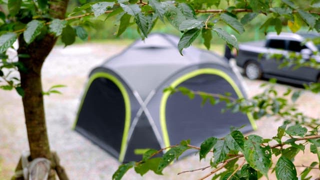 Tent set up in a lush green campsite