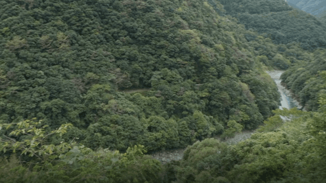 푸른 산과 구불구불한 강