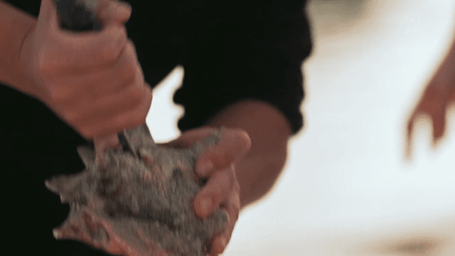 신선한 소라를 손질하는 사람