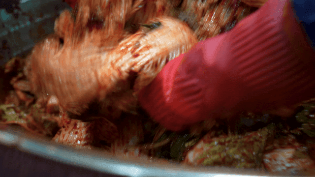 Kimchi mixing with red rubber gloves