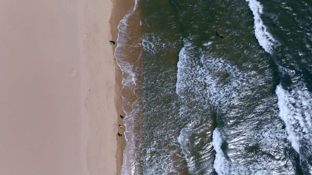 파도가 있는 고요한 해변