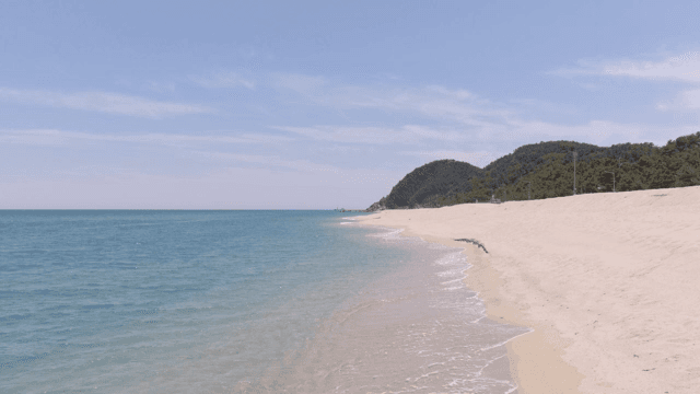 잔잔한 파도가 있는 해변