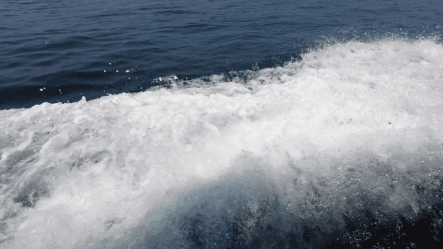 Waves crashing on the ocean surface