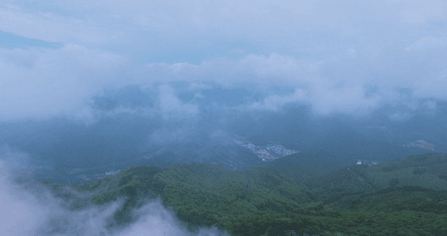 Misty mountains with lush green forests