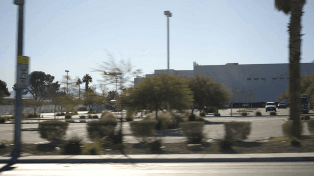 나무와 건물이 있는 거리