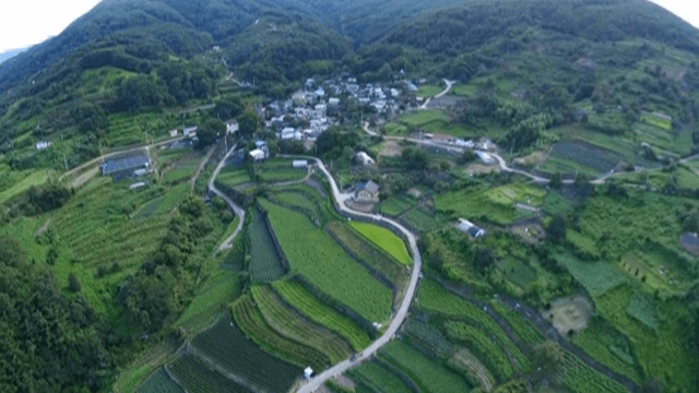 푸른 들판에 둘러싸인 시골 마을