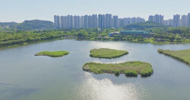 Serene urban park with a lake and high-rise buildings