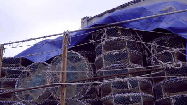 펜스에 쌓인 어망