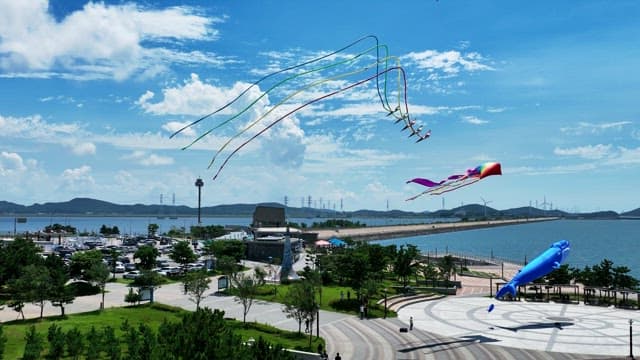 Vibrant Kites Soaring over a Coastal Park