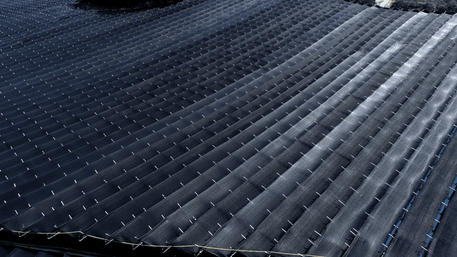 차양막 쳐져있는 농장 풍경