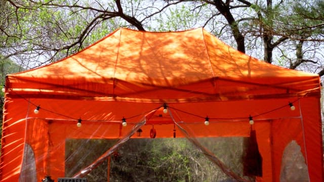 Bright orange tent in the green forest during the day