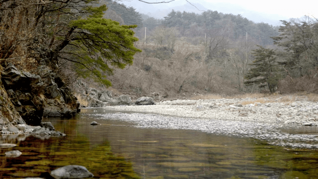 바위 지형을 흐르는 고요한 강