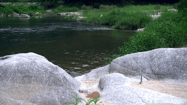 바위와 풀숲이 어우러진 고요한 강가