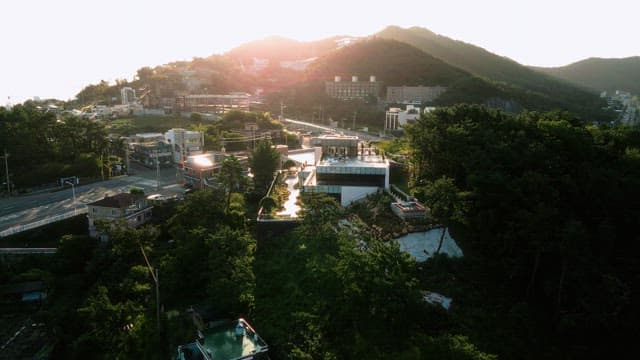 도시 풍경과 푸른 숲에 비치는 일출