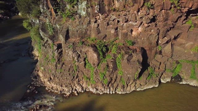 울창한 절벽이 있는 강가
