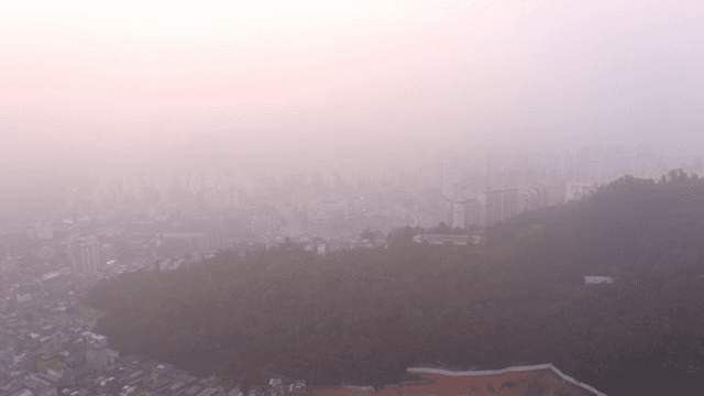 Cityscape shrouded in mist