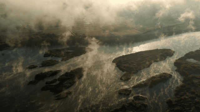 새벽 안개 낀 강 풍경