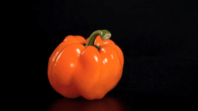 Vibrant orange bell pepper on a dark background