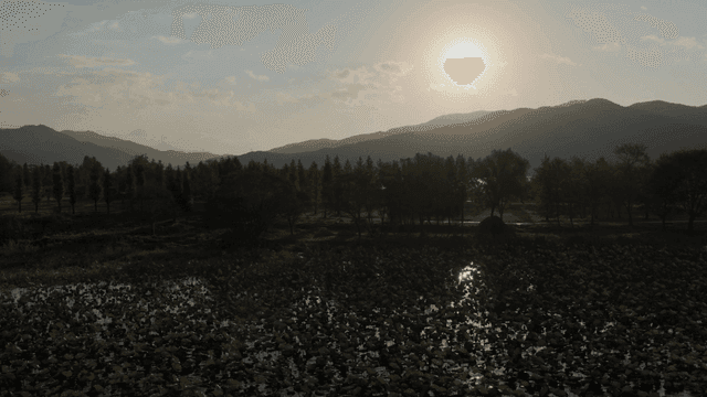 고요한 호수와 숲 위의 일몰