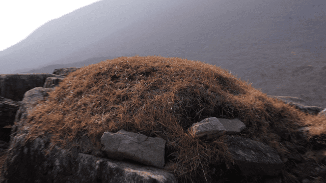 Abandoned mounds piled with dry grass and rocky hills on mountain