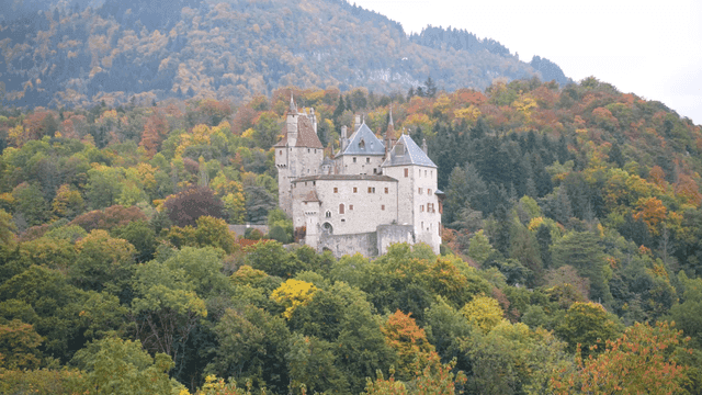 Historic European castle surrounded by autumn trees
